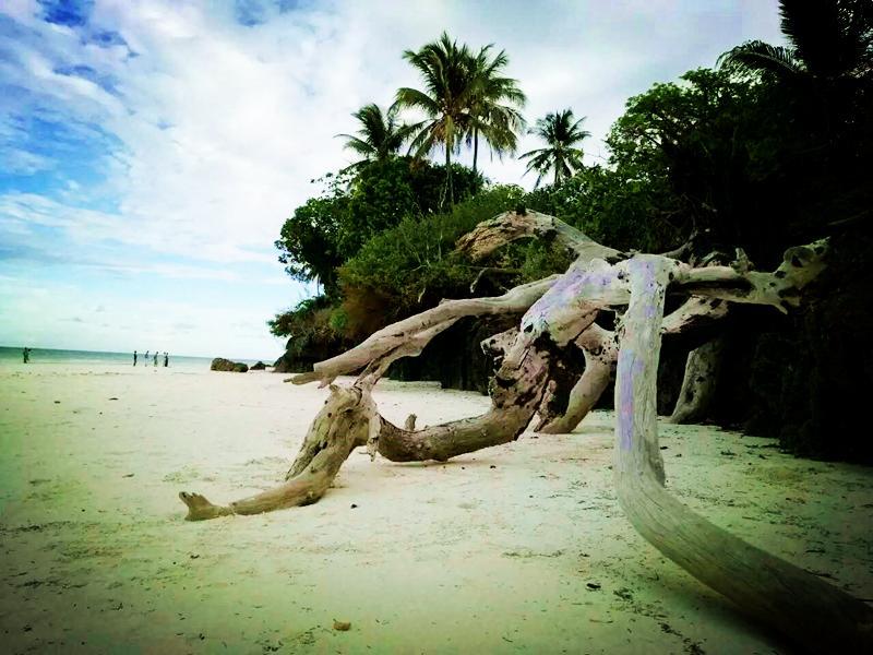 Diani Hostel Diani Beach Buitenkant foto