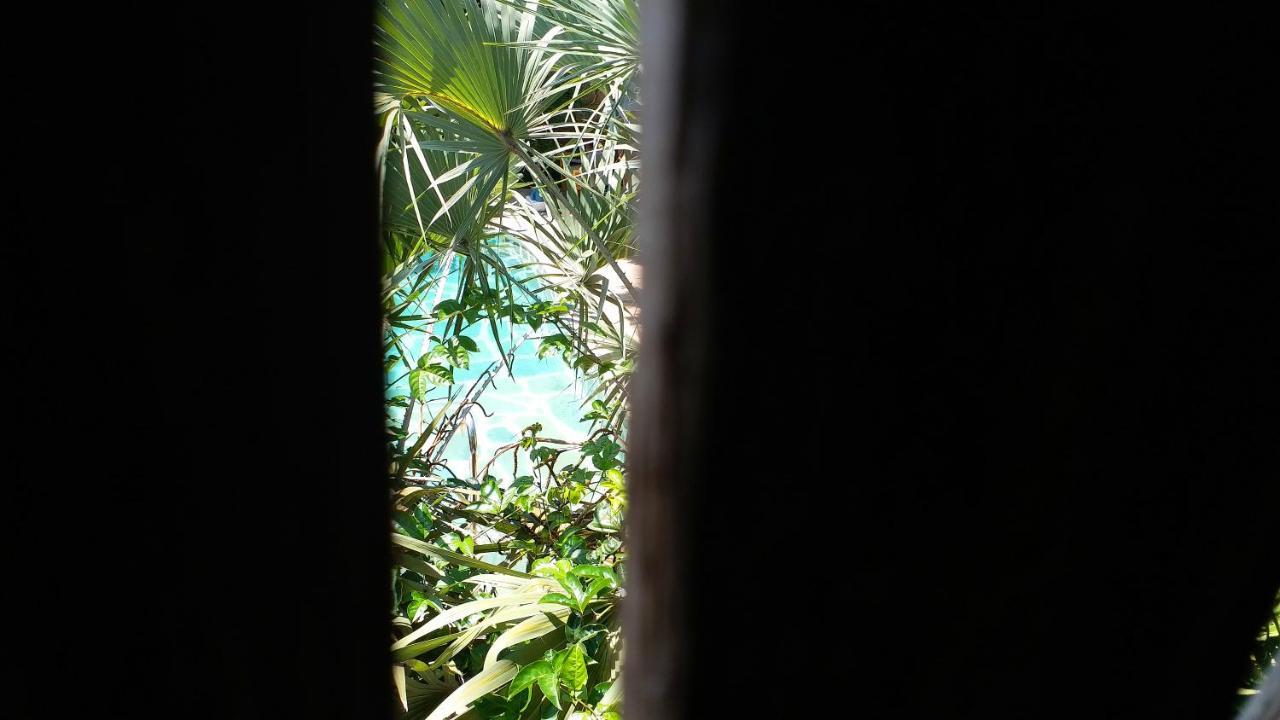 Diani Hostel Diani Beach Buitenkant foto